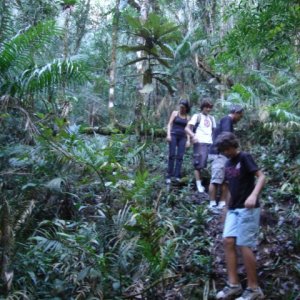 TRILHAS DIVERSAS TRILHAS DIVERSAS