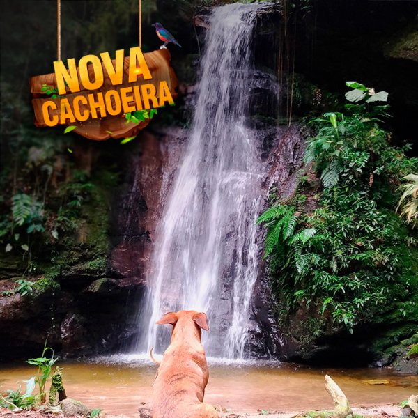 Você já conhece a Cachoeira Secreta?