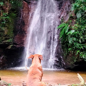Cachoeiras Cachoeiras
